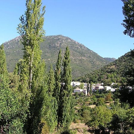 Apartamento Napaimbe Sierra Benamahoma Exterior foto