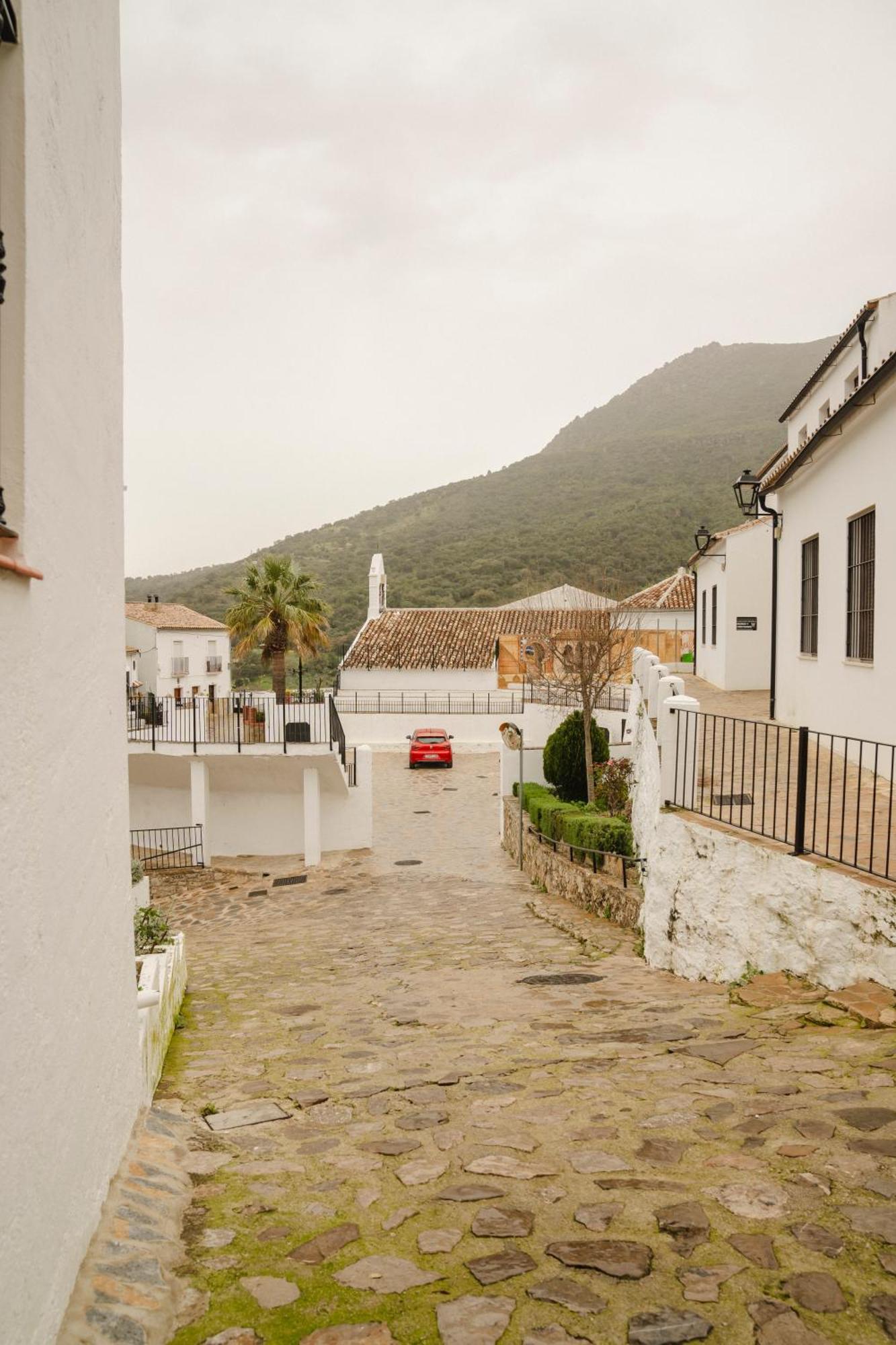 Apartamento Napaimbe Sierra Benamahoma Exterior foto